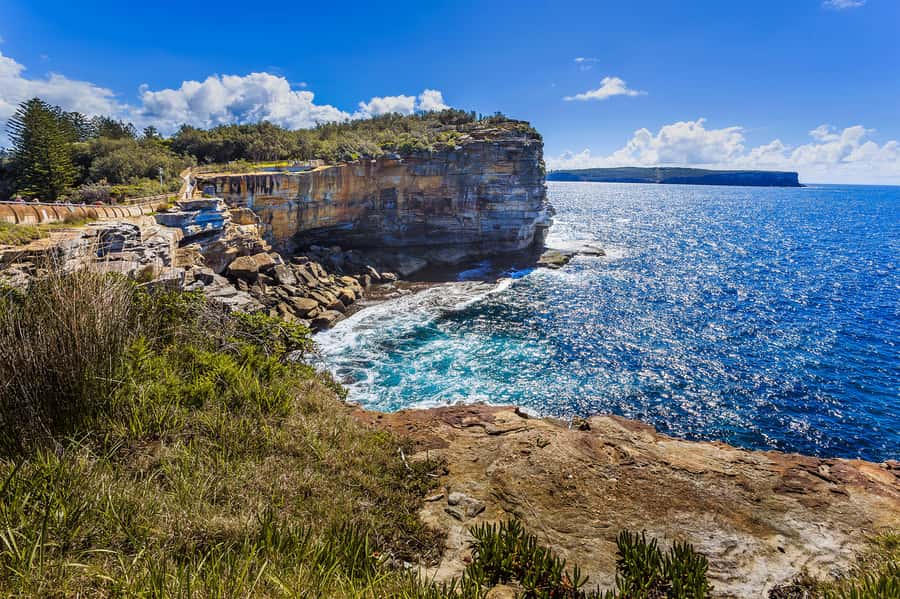 Sydney: City Highlights Private Half-Day Tour - How this private half-day tour gives you real first-timer momentum