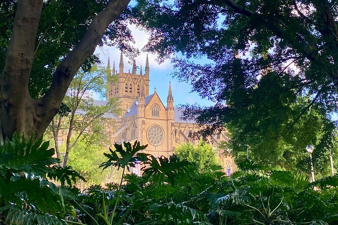 Sydney City Walking Tour - Key things that make this Sydney CBD walk work well