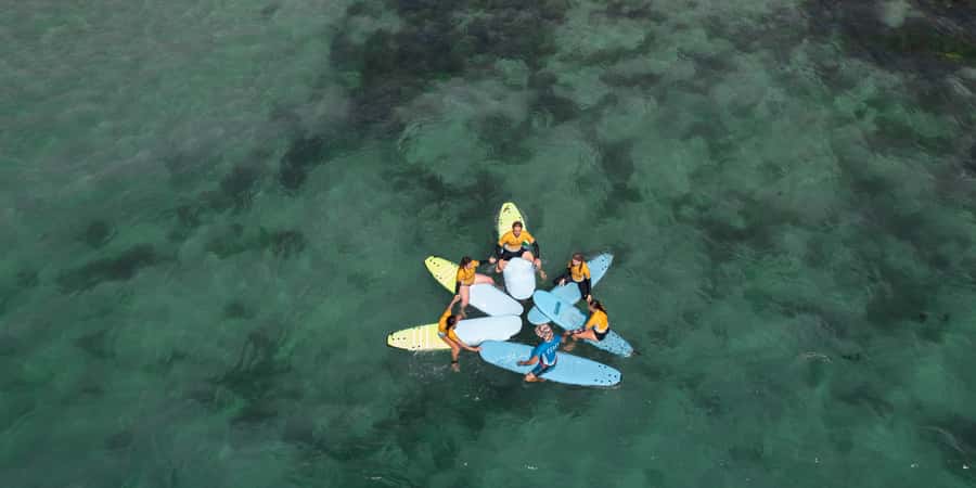 Sydney: Dee Why Beach Group Surfing Lesson - What the Lesson Covers: Paddling, Positioning, Pop-Up, and Turns
