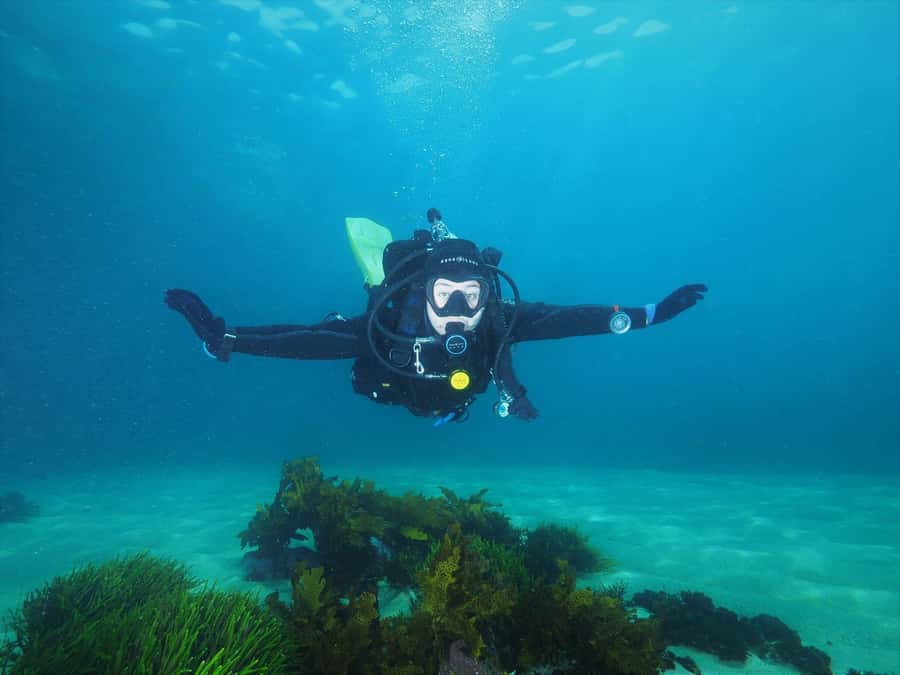 Sydney: Discover Scuba Dive at Australia's most Iconic Beach - Key things I’d plan around