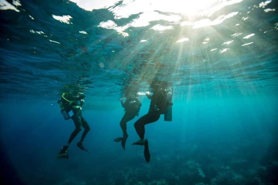 Sydney: Discover Scuba Dive at Australia's most Iconic Beach - The theory and safety talk that actually prepares you