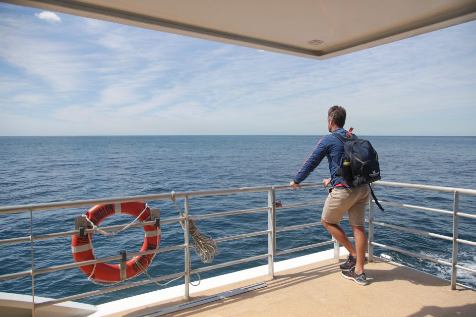Sydney: Discovery Whale Watching Tour by Catamaran - What’s Included (and What You’ll Need to Plan for)