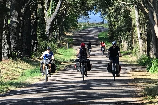 Sydney Electric Mountain Bike Guided Tour - Snacks, water, and the lunch gap you should plan around