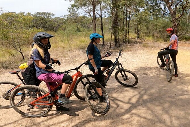 Sydney Electric Mountain Bike Guided Tour - Price and logistics: what $132.69 buys in real riding time