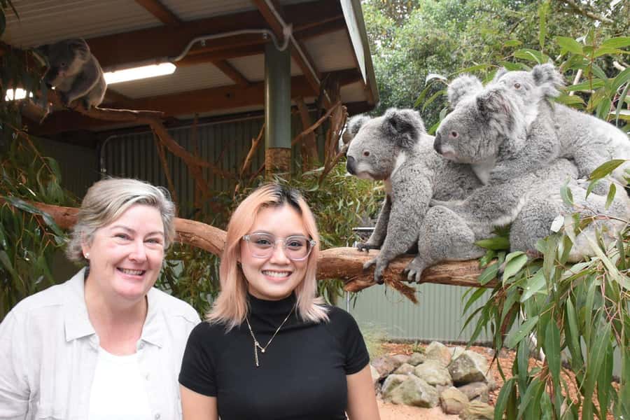 Sydney: Featherdale Wildlife Park Private Tour - Koalas up close and optional add-ons: plan around availability