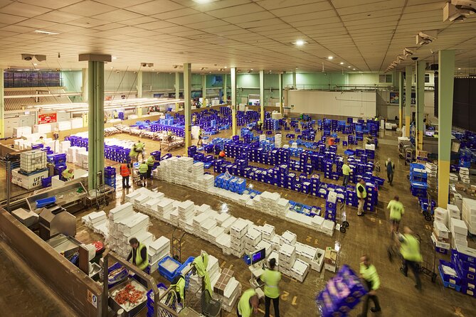 Sydney Fish Market Behind the Scenes Tour - A 6:00 am start at the Sydney Fish Market that changes how you see seafood