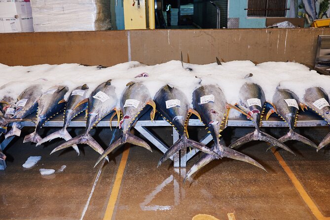 Sydney Fish Market Behind the Scenes Tour - The Dutch auction system: how to follow the bidding without guessing