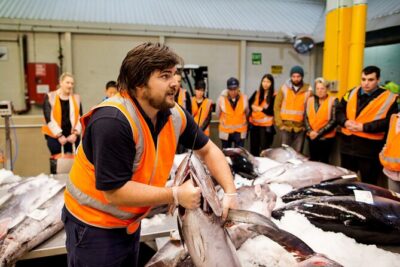 Sydney Fish Market Behind the Scenes Tour - Getting There: LG Information Hub, Then Level 1 for the Tour