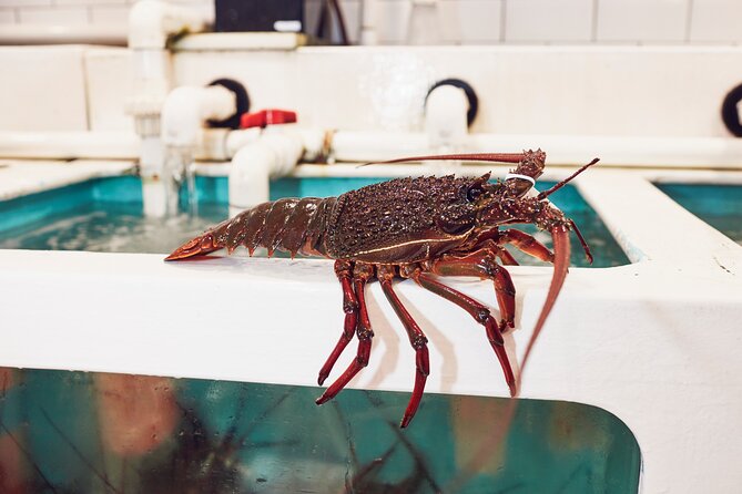 Sydney Fish Market Behind the Scenes Tour - Meet the working fishmonger life (and why it matters)