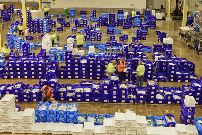 Sydney Fish Market Behind the Scenes Tour - Sustainability and aquaculture: what Australia leads in (and what you can ask about)