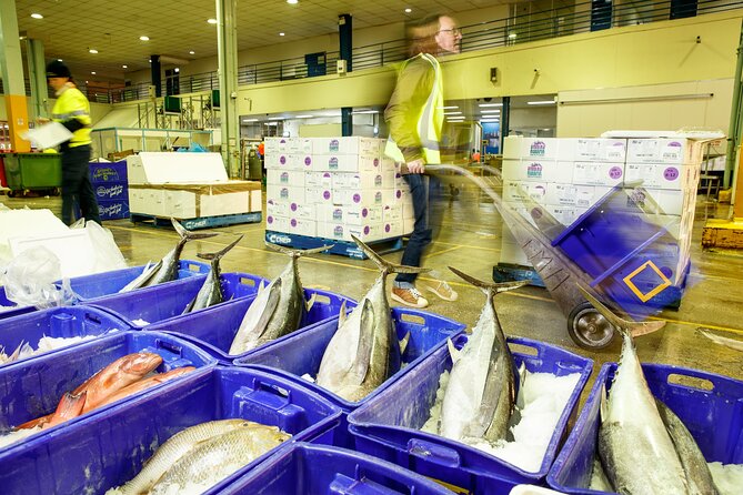 Sydney Fish Market Behind the Scenes Tour - Price and value: is $57.38 worth a morning tour?