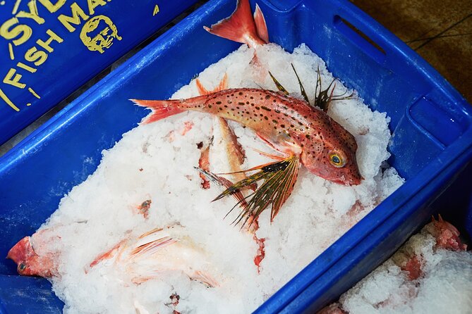 Sydney Fish Market Behind the Scenes Tour - Logistics that actually matter: tickets, group size, and who can join