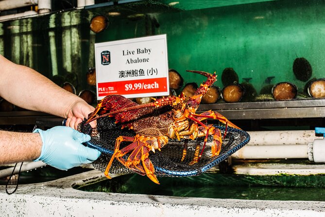 Sydney Fish Market Discovery Tour - From Commercial Wharves to Real Fishing Vessels
