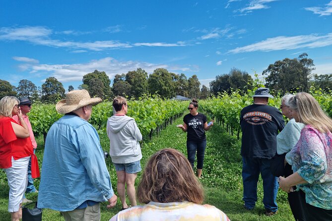 Sydney Grains and Grapes Hunter Valley Wine and Beer with Lunch - Guides make the day: Chris, Glen, and the art of pacing