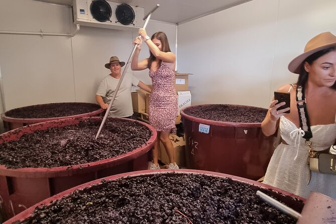 Sydney Grains and Grapes Hunter Valley Wine and Beer with Lunch - The lunch break at a winery (plus wood-fired pizza or shared plates)
