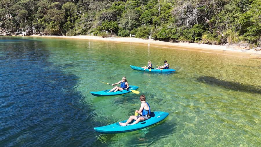 Sydney: Guided Kayak Taster Tour from Manly - Key Things to Know Before You Go