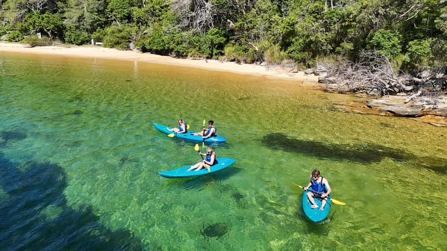 Sydney: Guided Kayak Taster Tour from Manly - Manly From the Water: Why This Kayak Taster Works