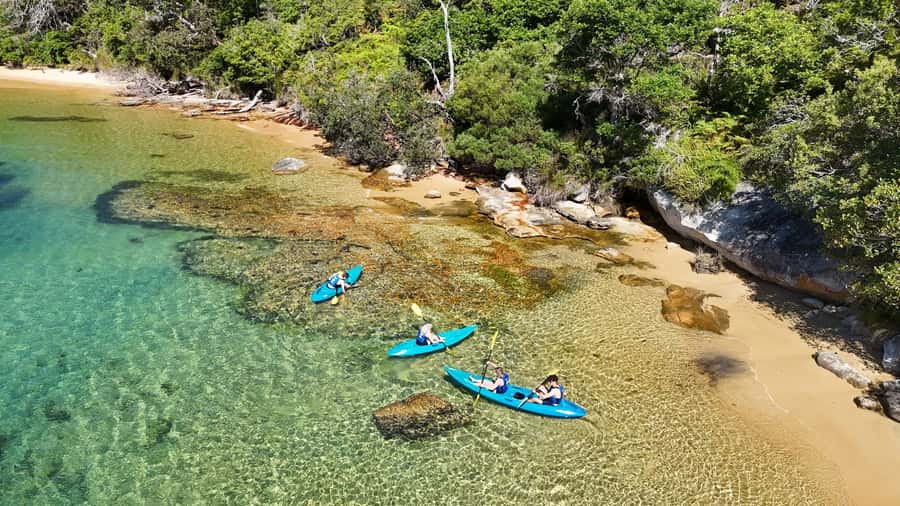 Sydney: Guided Kayak Taster Tour from Manly - What Happens at the Start: Safety Briefing and Paddling Demo