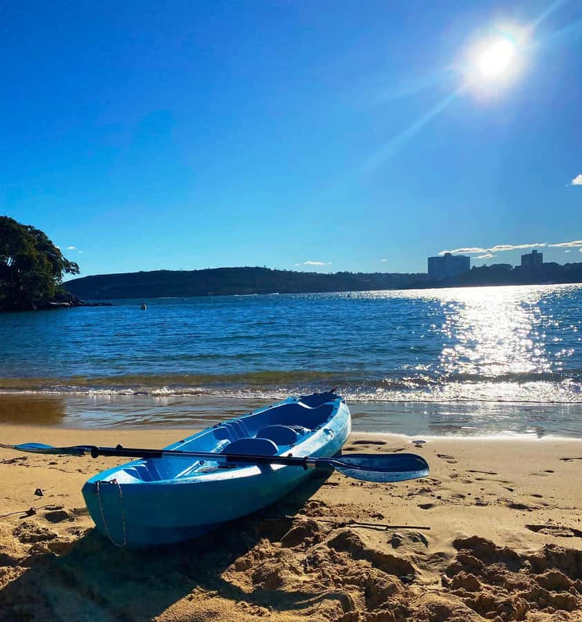 Sydney: Guided Kayak Taster Tour from Manly - Paddling Along Manly Shoreline to a Golden Secluded Beach