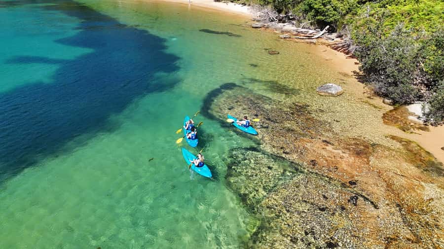 Sydney: Guided Kayak Taster Tour from Manly - What’s Included (and What You Should Bring)