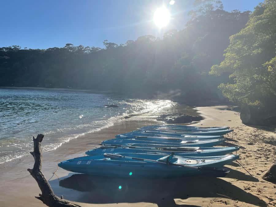 Sydney: Guided Kayak Taster Tour from Manly - Price and Time: Is $46 for 90 Minutes Actually Good Value?