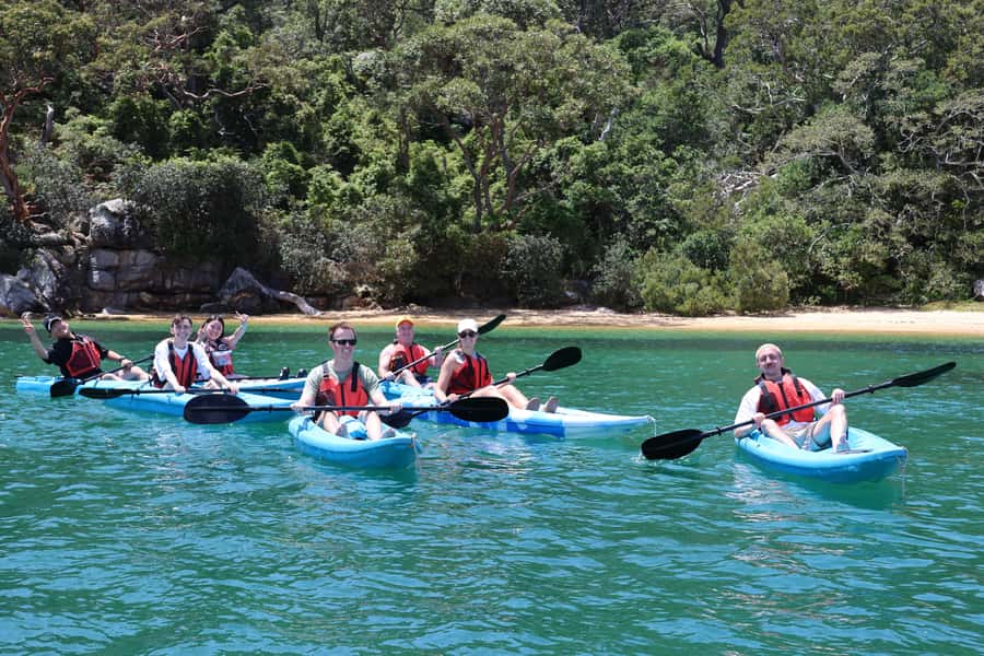 Sydney: Guided Kayak Taster Tour from Manly - Who This Tour Fits Best (and Who Should Skip It)