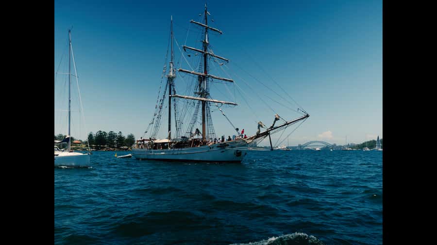 Sydney: Harbor Sunset Cruise with Dinner - Key things to know before you go