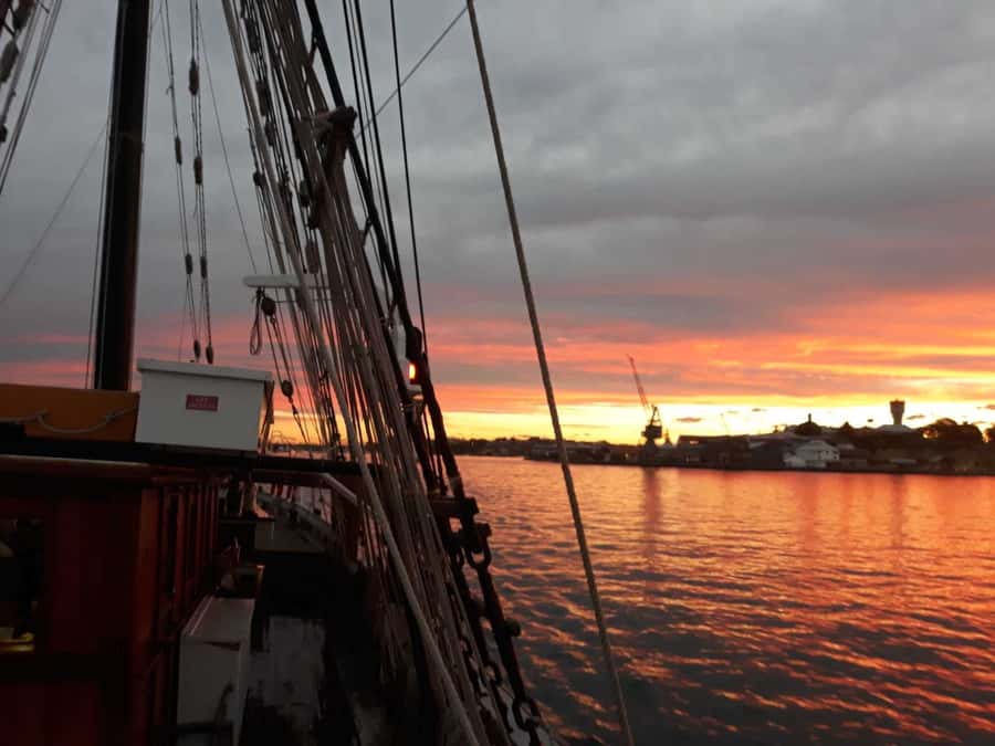 Sydney Harbor Tall Ship Wine & Canapés Evening Cruise - Sydney Harbor, but from a real tall ship (not a floating bar)