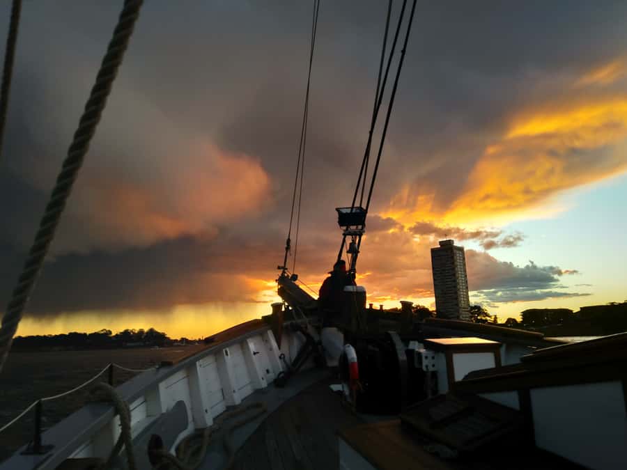 Sydney Harbor Tall Ship Wine & Canapés Evening Cruise - Canapés and drinks: what the package actually gives you