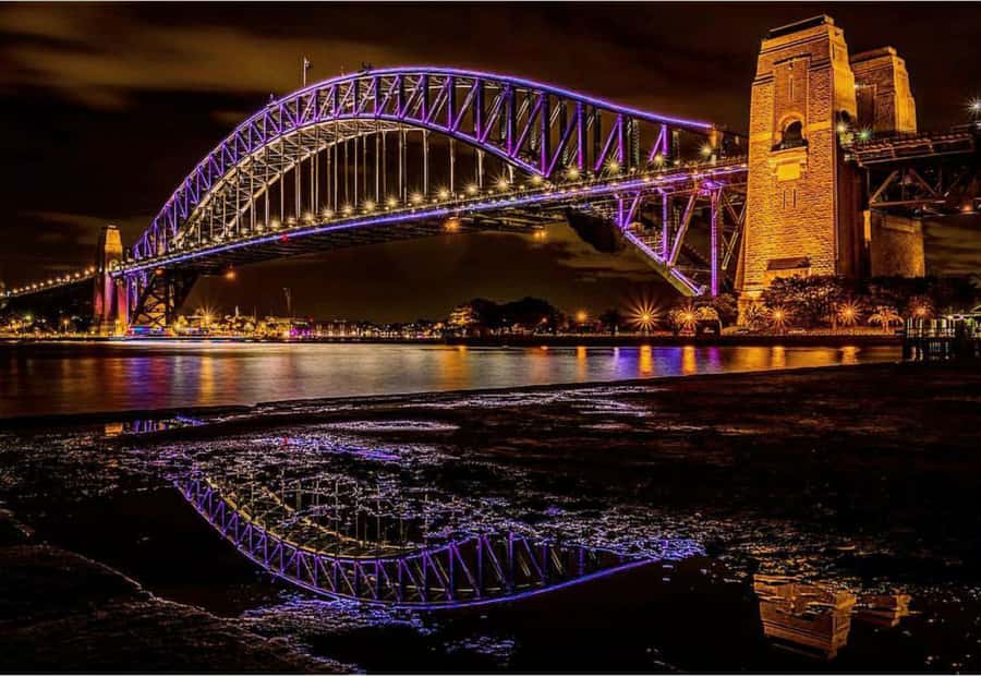 Sydney Harbour: 30 Minute Slow Jet Boat Vivid Cruise - Who this cruise fits best (and who should skip it)