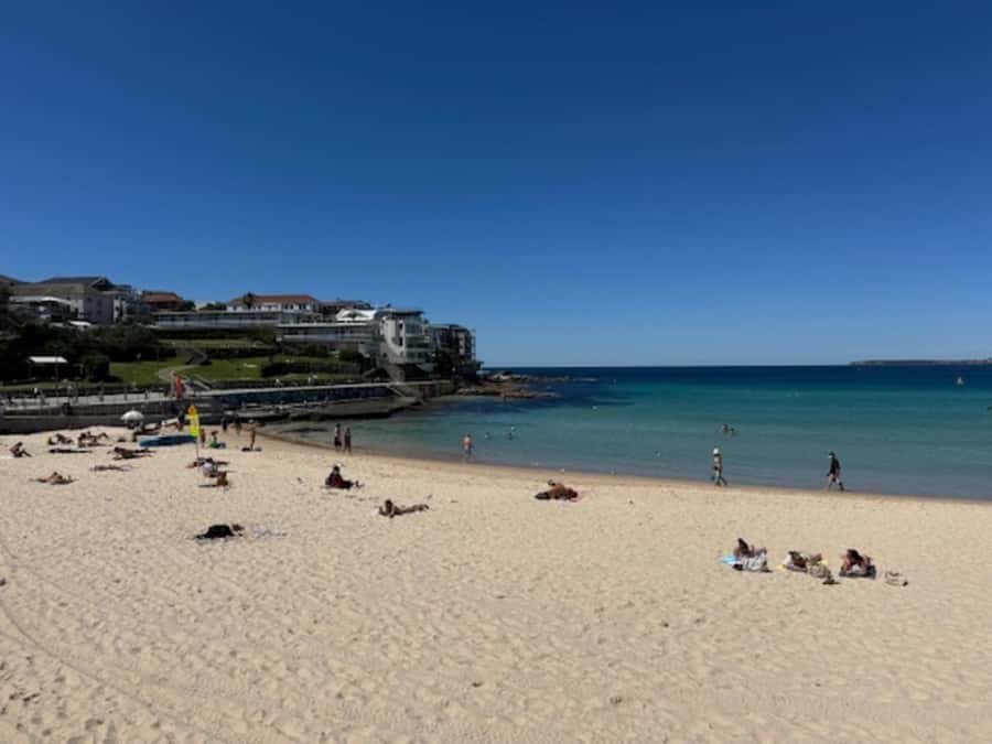 Sydney Harbour & Bondi: Morning Highlights with Breakfast - Morning logistics: pickup, pace, and what “5 hours” really means
