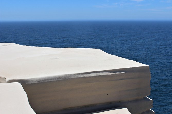 Sydney Harbour Hop On Hop Off Explorer Ferry Pass - Price and Value: When $31.56 Makes Sense (and When It Doesn’t)