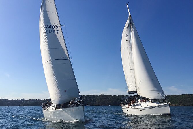 Sydney Harbour Sailing Experience - Luna Park and the harbour mouth: the fun detour that helps the story
