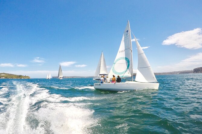 Sydney Harbour - Sailing Hands-On Experience - Who this sailing class fits best