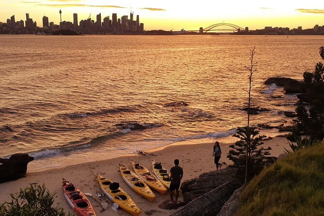Sydney Harbour Sunset Dinner Paddle - Guide Quality and Group Size: Why This Feels Safer Than It Sounds