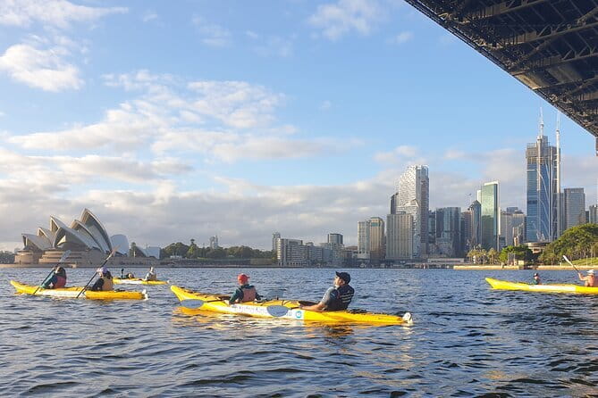 Sydney Harbour Sunset Dinner Paddle - Pacing, Physical Effort, and Who This Fits Best