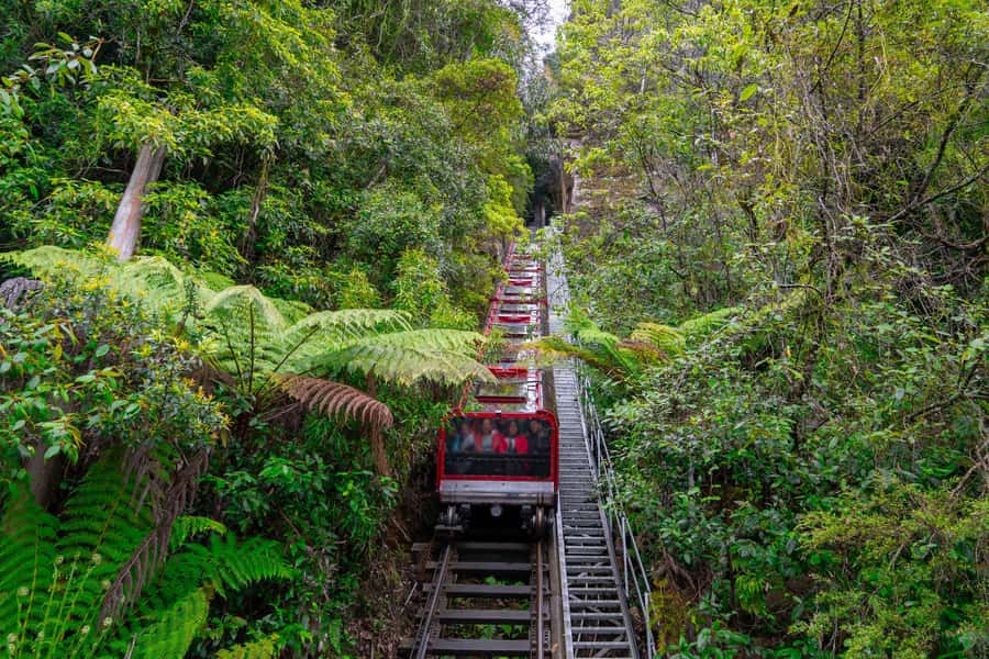 Sydney: Heritage Zig Zag Steam Train and Blue Mountains Tour - Zig Zag Railway: 1869 steam power with serious engineering behind it