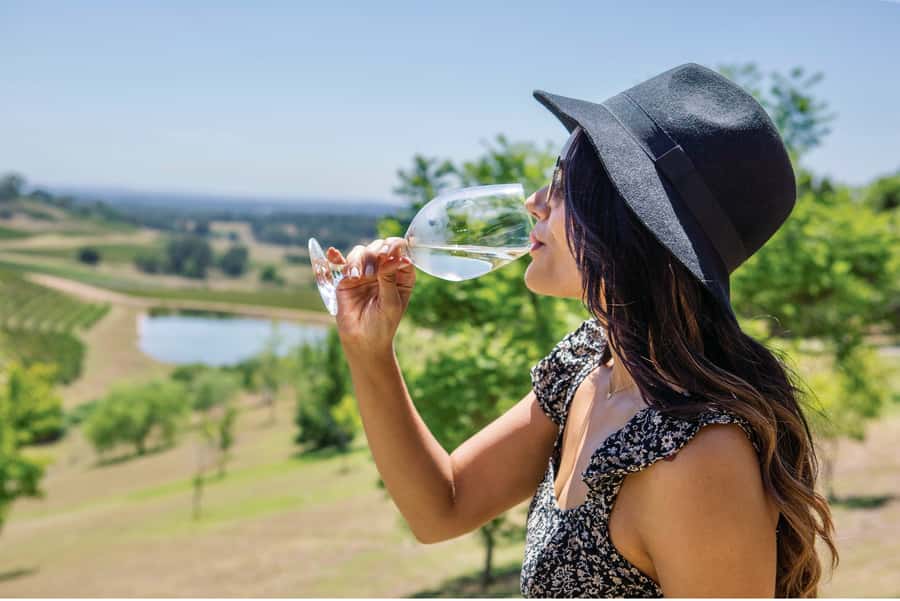 Sydney: Hunter Valley Wineries Day Trip with Food Tastings - Getting picked up in Sydney: minibus comfort and a real schedule