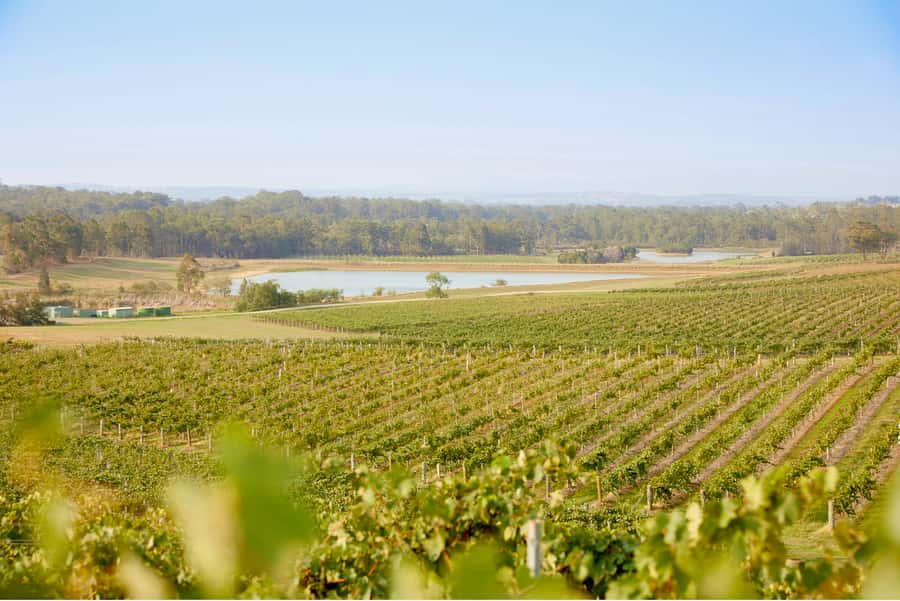 Sydney: Hunter Valley Wineries Day Trip with Food Tastings - Price and value: what $336 buys, and what you’ll likely pay extra