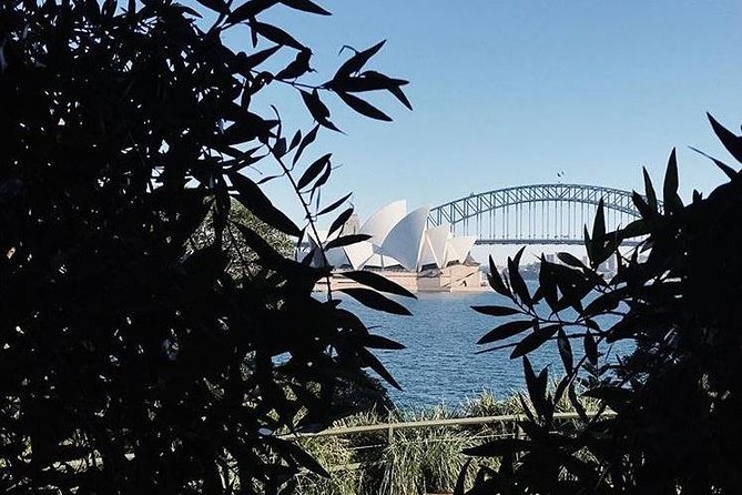 Sydney Icons & Bondi Half Day Private Tour - Getting oriented fast in The Rocks and Sydney Harbour Bridge