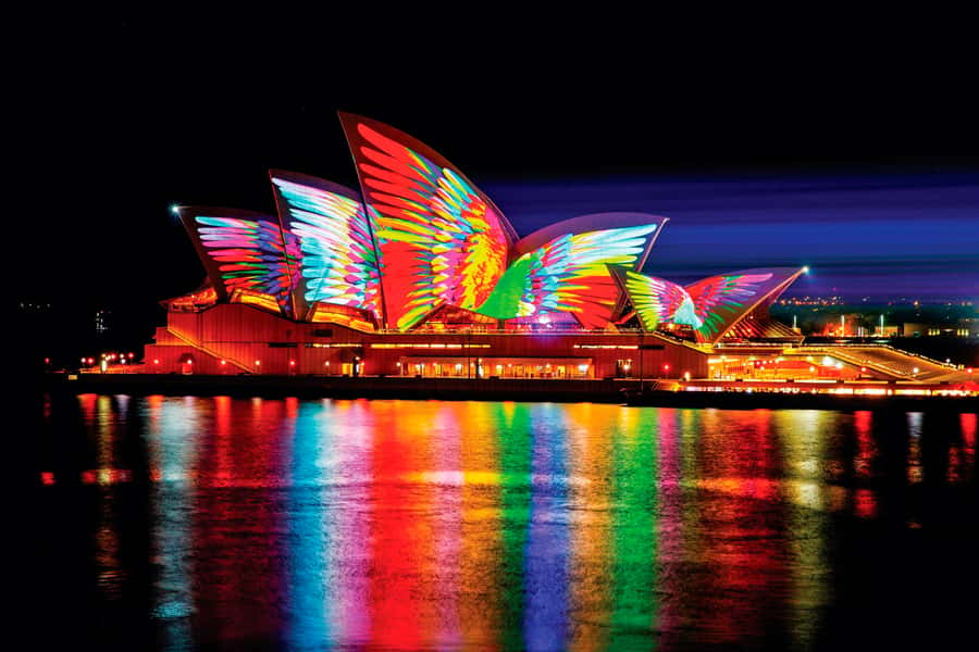 Sydney: Intimate Vivid Harbour Cruise with Canapes - The 90-minute cruise flow: how the time is used
