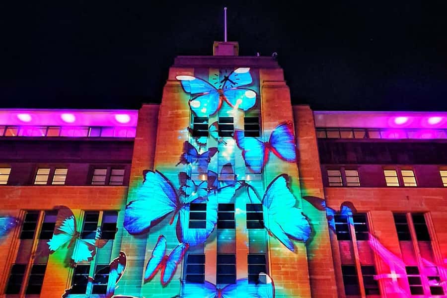 Sydney: Intimate Vivid Harbour Cruise with Canapes - Who should book this cruise (and who might prefer another option)