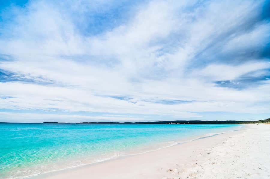 Sydney: Jervis Bay Day Trip with Dolphins, Roos & Beach Time - Price and value: is $120 a fair deal for this mix?
