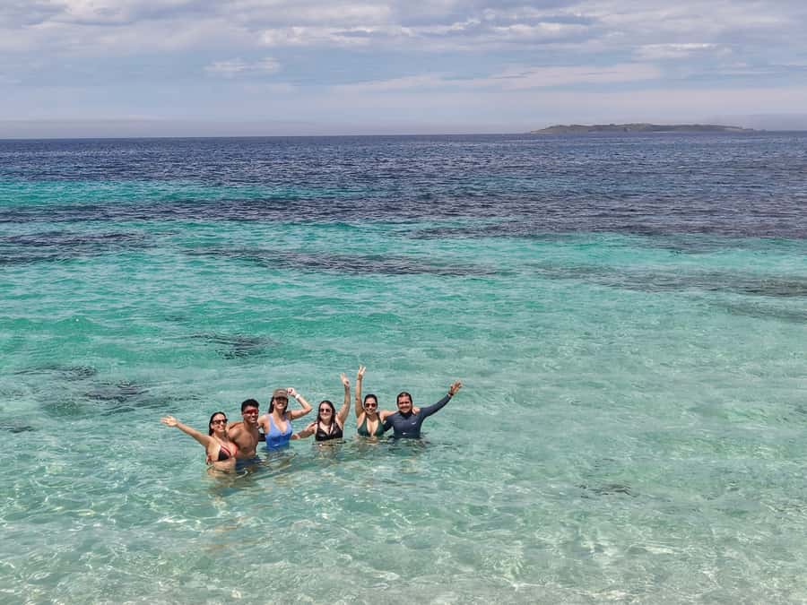Sydney: Jervis Bay & South Coast Small Group - Sea Cliff Bridge walk: the iconic stop with real pacing for photos