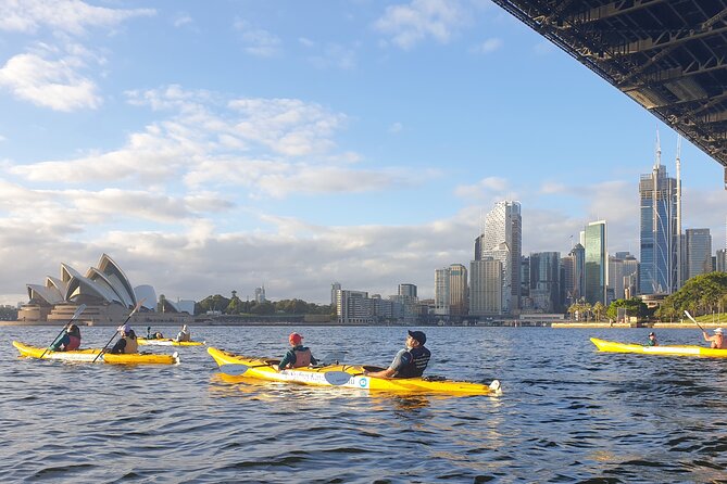 Sydney Kayak Seal Encounter Adventure with Gourmet Food - Who this private seal kayaking tour fits best