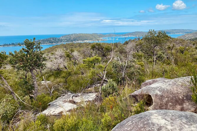 Sydney: Ku-ring-gai Chase National Park with Hike, Swim, Picnic - America Bay Lookout: The Short Bush Trail That Pays Off (Stop Two)