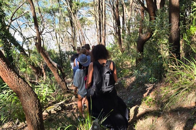 Sydney: Ku-ring-gai Chase National Park with Hike, Swim, Picnic - Mooney Mooney Oyster Shed: Fresh Sydney Rock Oysters if You Want the Sea Treat (Optional Stop)