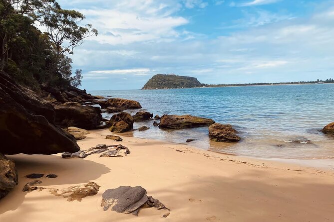 Sydney: Ku-ring-gai Chase National Park with Hike, Swim, Picnic - Following the Water Through Native Bush and Sandstone (Stop One)