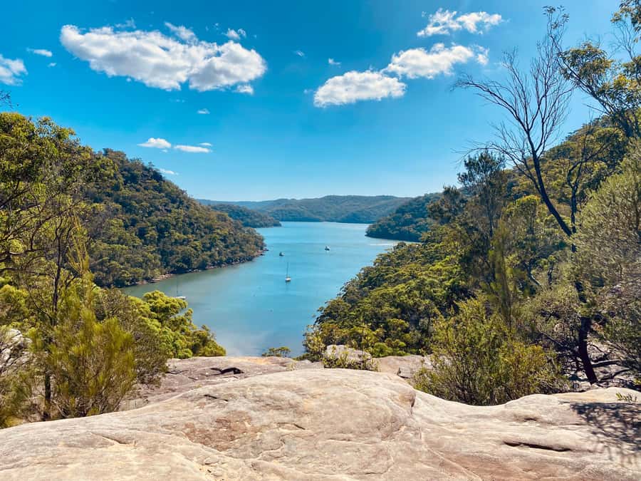 Sydney: Ku-ring-gai National Park with swim and picnic - Getting there: pickup by SUV and a small-group pace