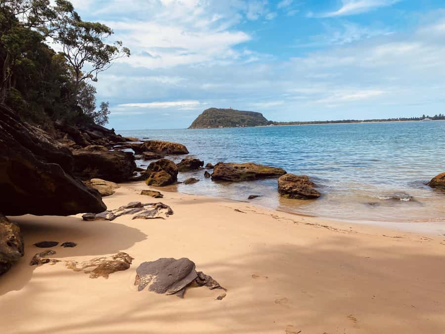 Sydney: Ku-ring-gai National Park with swim and picnic - Guided bush time and Aboriginal rock carvings (the part that adds meaning)